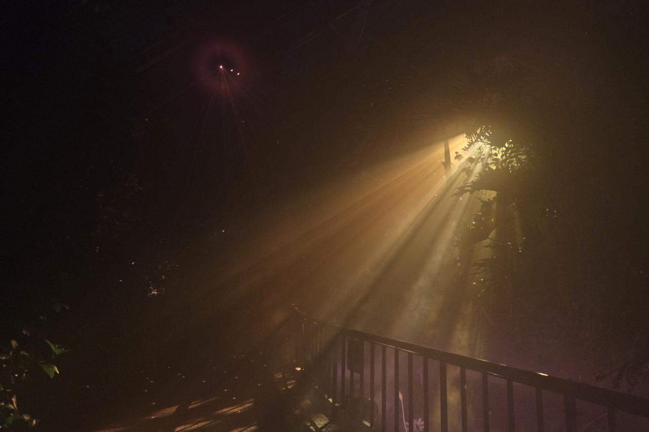 画像4: ⚫︎ZONE1:LIGHT WILL FIND YOU