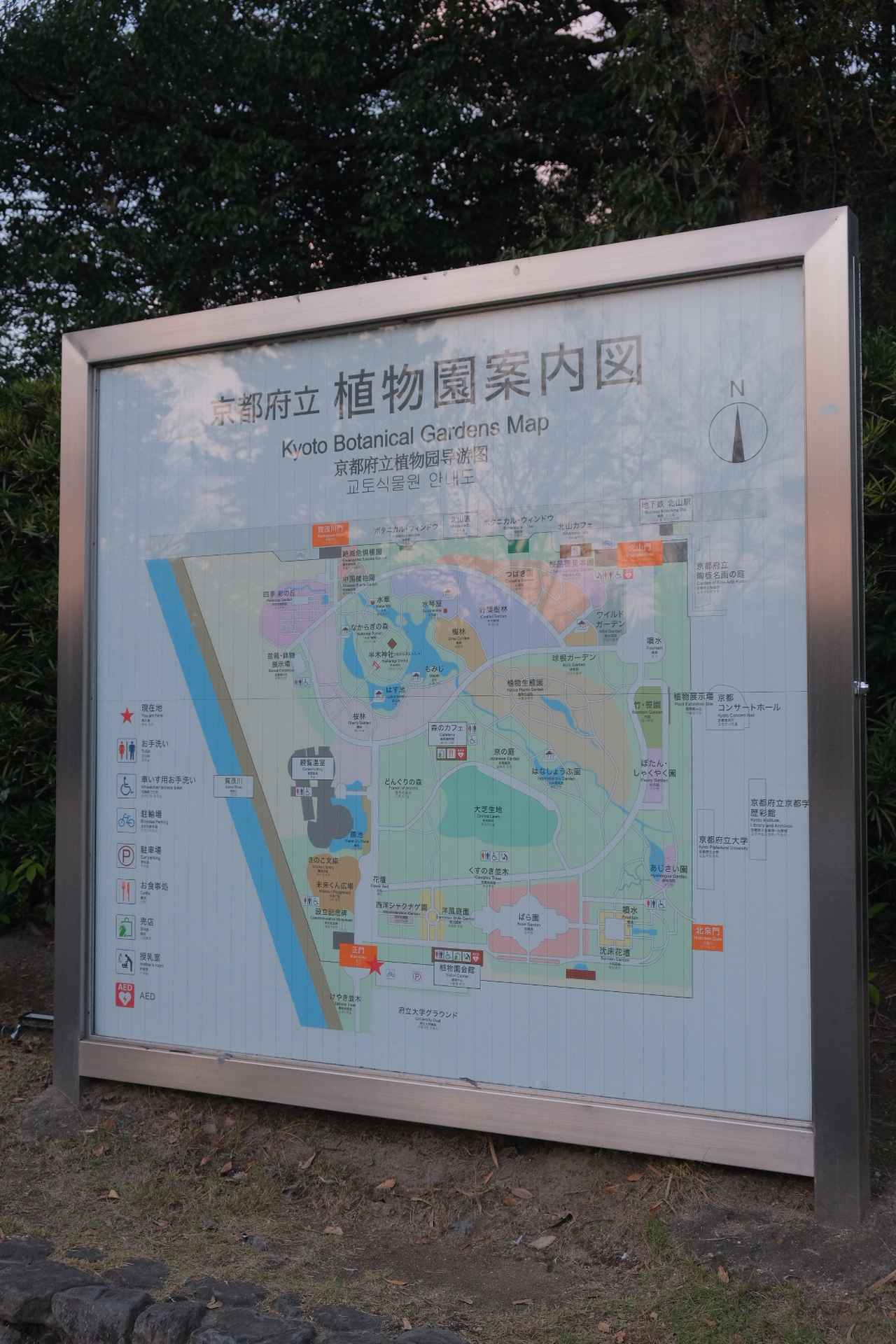 画像 : 1番目の画像 - 京都府立植物園 - カワコレメディア