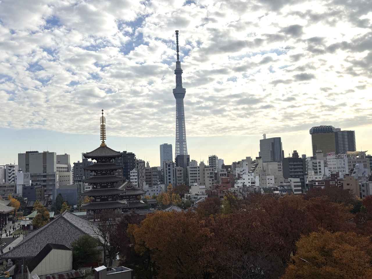 画像11: 和の美意識と北欧の心地よさが調和♡「リッチモンドホテル浅草」2025年12月1日リニューアルオープン！