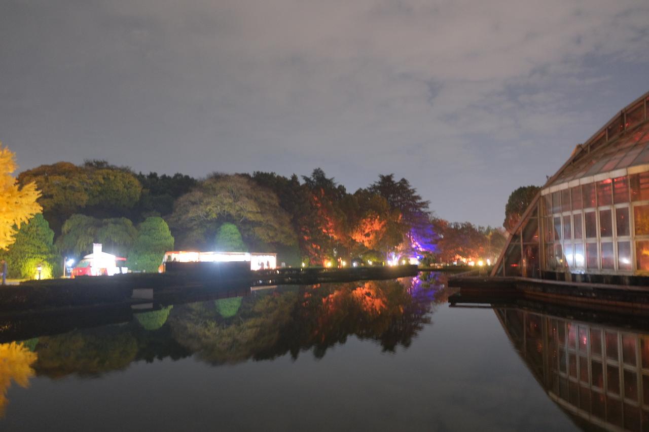 画像14: 豪華コラボレーションの数々！「KYOTO BOTANICAL GARDENS STORE」