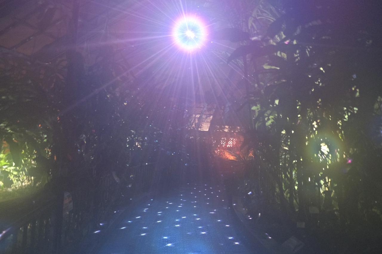 画像2: ⚫︎ZONE1:LIGHT WILL FIND YOU