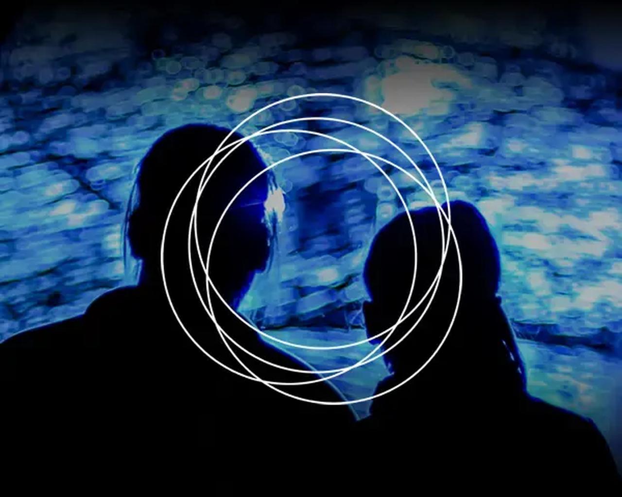 画像2: ライトサイクル京都: 自然の中の光のショー