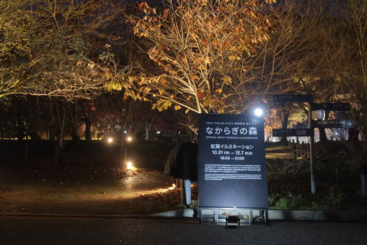 画像1: 期間限定！紅葉エリアが登場中♪