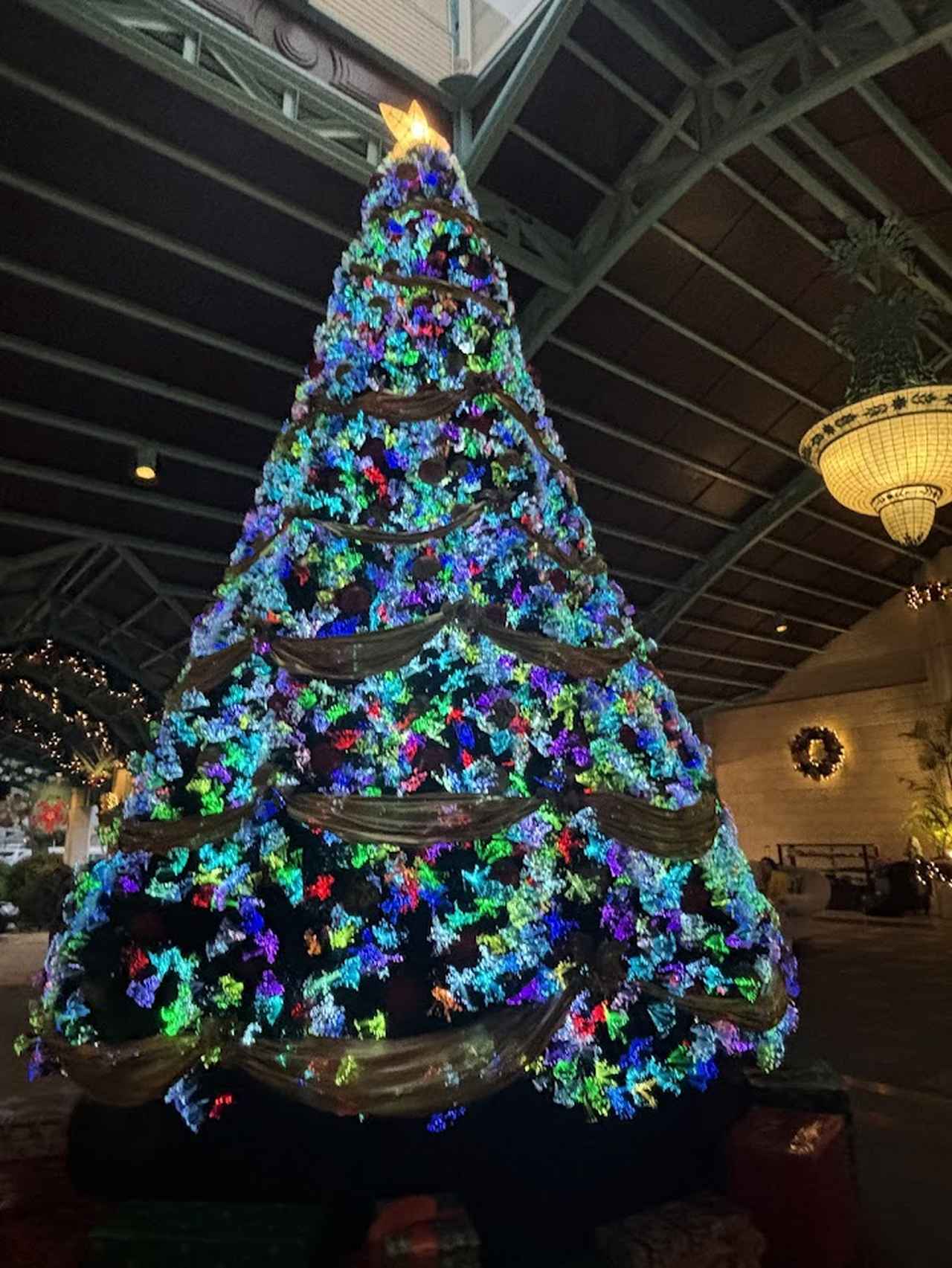 画像2: クリスマスのデコレーションは1月末まで!年末年始もおすすめです