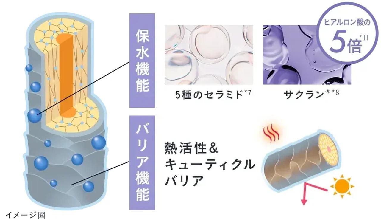 画像: POINT02|シルク質感 -ダメージを立体補修しなめらかなに ダメージによって生まれた髪内部の空洞“ダメージホール”を、7種類の分子量の異なる【ケラチン※5】が髪芯部まで栄養成分が浸透し、立体的に内側から補修。【PPT系高級洗浄成分※9】が、髪1本1本を洗い上げ、しなやかで指通りなめらかなシルクのような髪へと仕上げます。