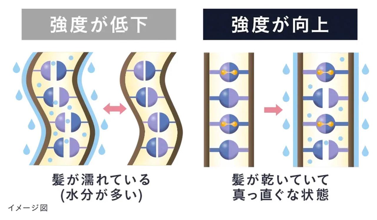 画像: POINT01|内部補修 -髪内部のうねりを補修。まっすぐな髪へ 髪のうねりの原因となる内部構造の乱れを、髪の主成分【必須アミノ酸※4】と密度補強成分【ジマレイン酸※7】で補修。さらに、縮毛補修発想から生まれた補修成分【トステア®※8】を配合し、ハリ・コシのあるストレート髪へ導きます。