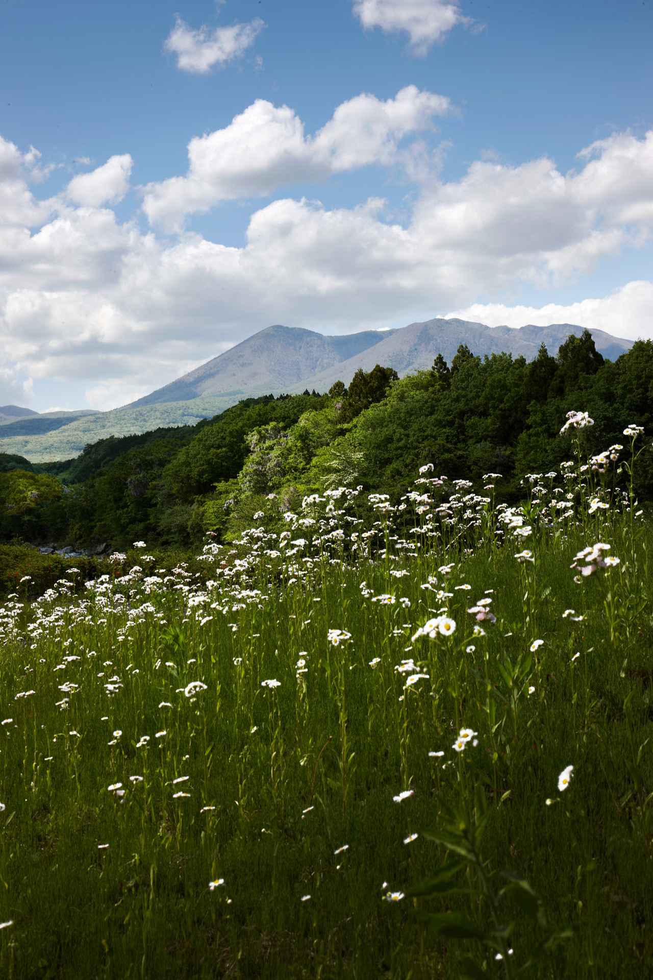 画像: 私たちの想い