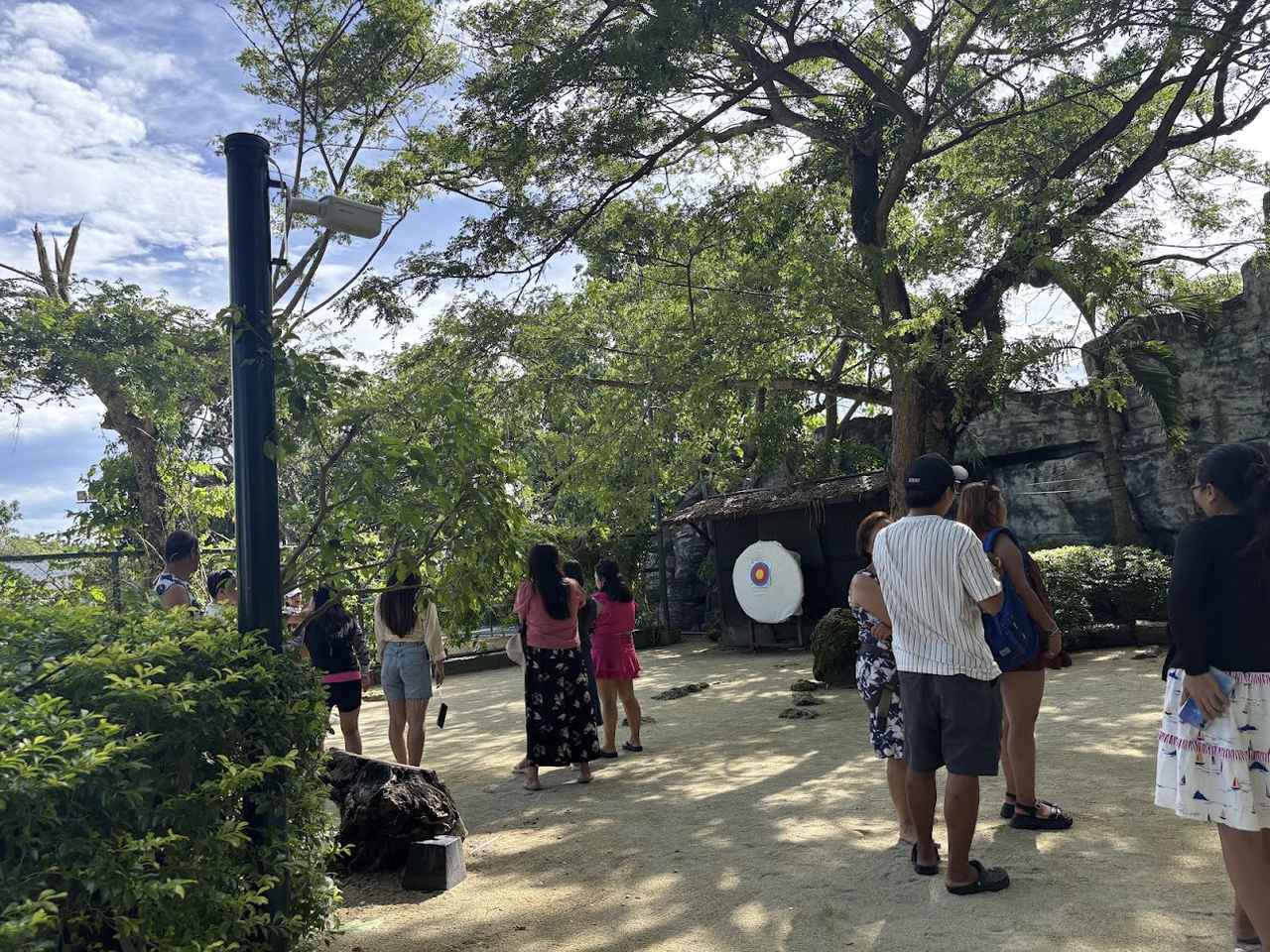 画像1: アクティビティ