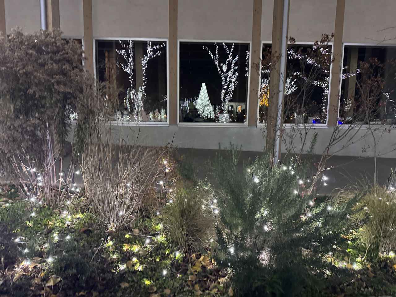 画像: “白い光に包まれる冬の牧場”「ピュアミルククリスマス2025」開催