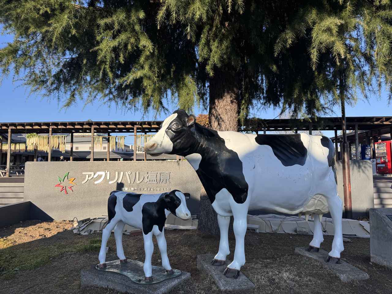 画像: 新鮮な野菜や乳製品がそろう【アグリパル塩原(道の駅 湯の香しおばら)】