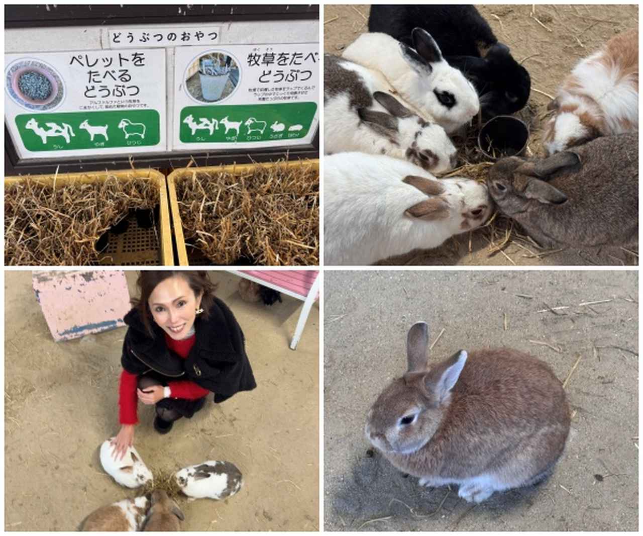 画像11: 那須塩原ブランド✖八芳園♡歴史と食文化が織りなす“特別な一日”
