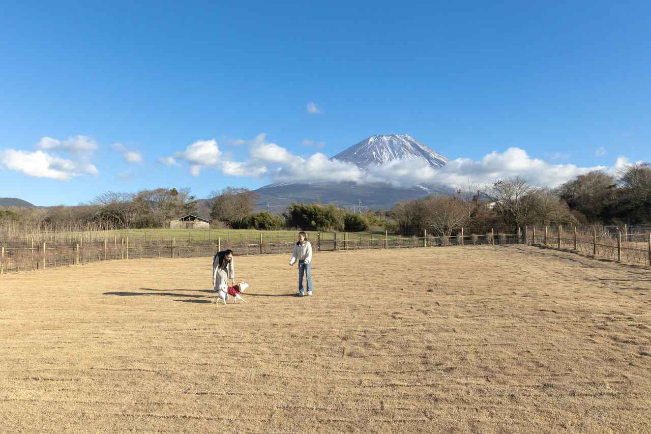 画像15: 4.スタイルに合わせて選べる4タイプの客室