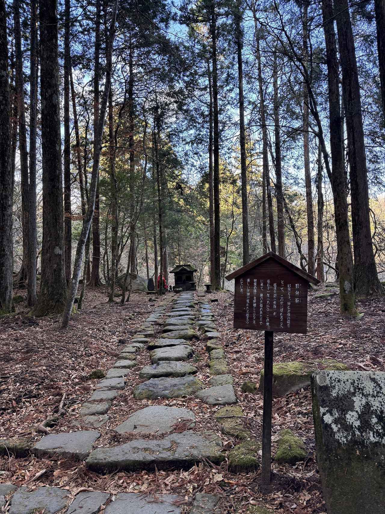 画像46: グループ最上級「大江戸三つ星バイキング」♡大江戸温泉物語Premium 鬼怒川観光ホテル