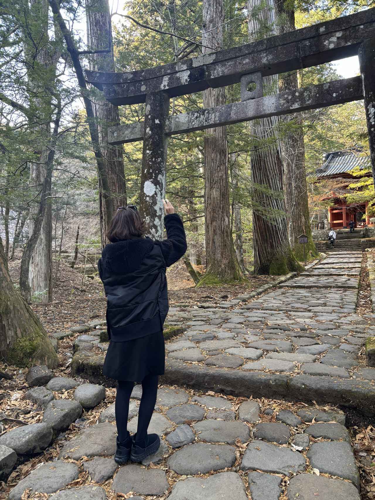 画像: 挑戦しましたが、入りませんでした