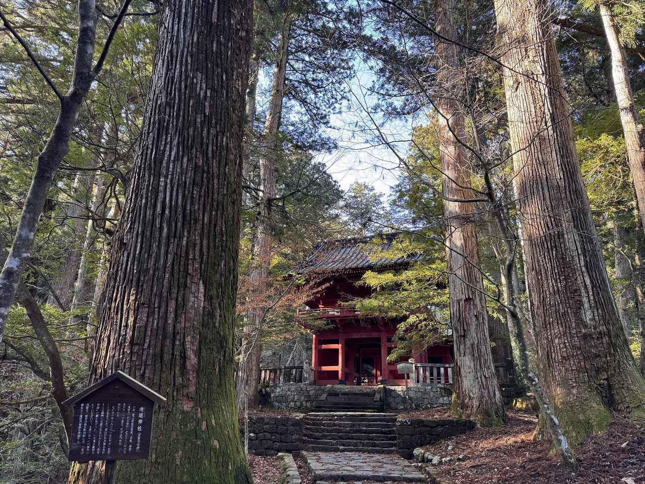 画像44: グループ最上級「大江戸三つ星バイキング」♡大江戸温泉物語Premium 鬼怒川観光ホテル