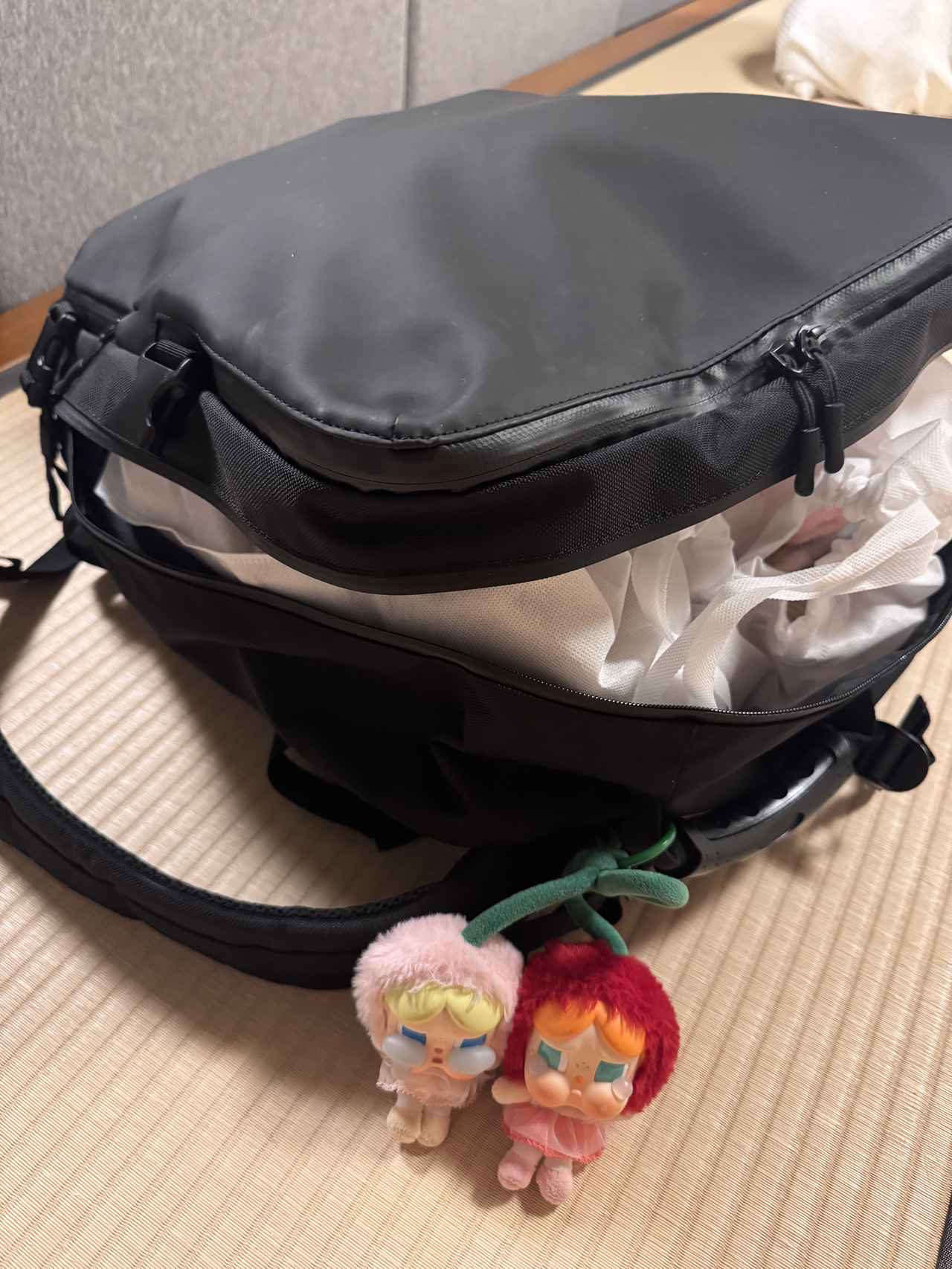 画像7: 機内持ち込みもOK♡大人専用トラベルリュック【MAN-SEL(マンセル)】