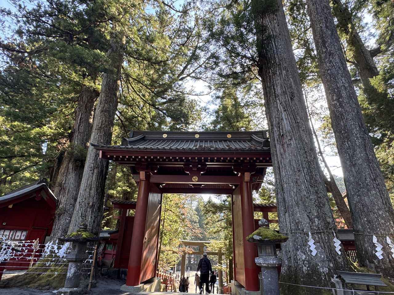 画像41: グループ最上級「大江戸三つ星バイキング」♡大江戸温泉物語Premium 鬼怒川観光ホテル