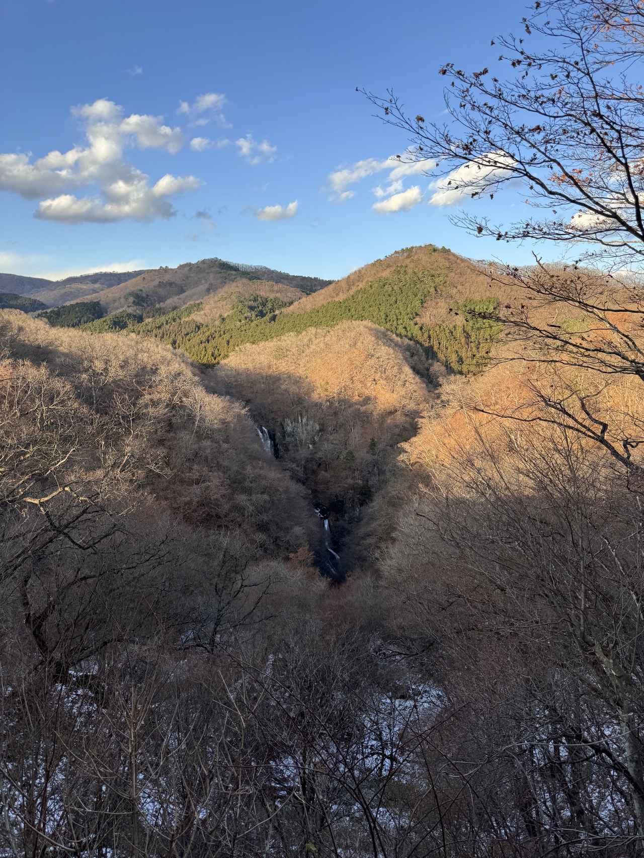 画像48: グループ最上級「大江戸三つ星バイキング」♡大江戸温泉物語Premium 鬼怒川観光ホテル