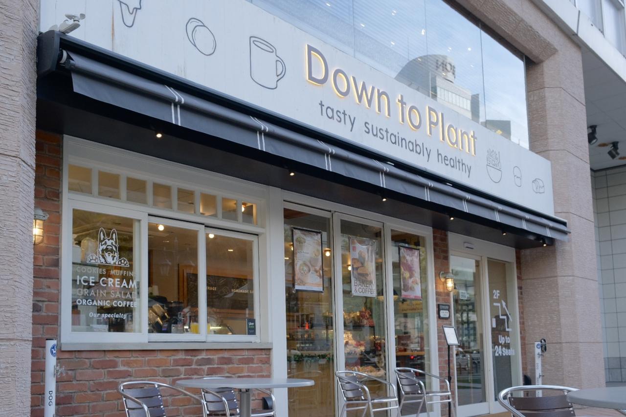 画像1: ⚫︎ダウントゥプラント(六本木ヒルズ)