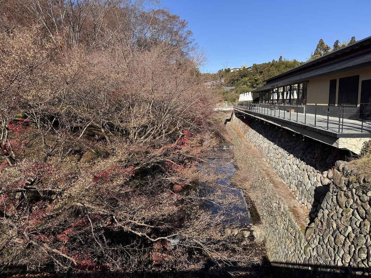 画像3: 京都でしか味わえない聖夜の魔法♡【ROKU KYOTO】が贈るフェスティブシーズン2025