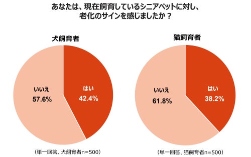 画像1: 老化を感じた飼い主は約4割。犬と猫で違いも