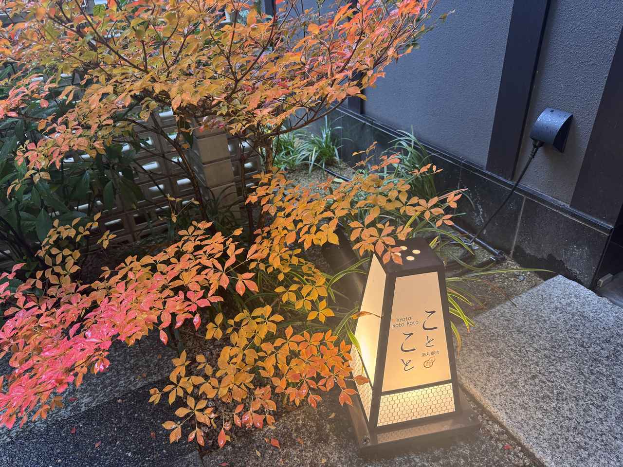 画像28: 【宿泊レポ】京都の魅力を世界へ♡五感で巡る体験型ホテル『HANARE by Tokyu Stay』