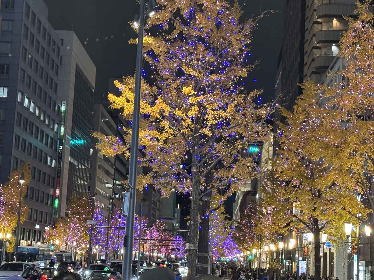 画像: 「スイスホテル南海大阪」からすぐの御堂筋のイルミネーション