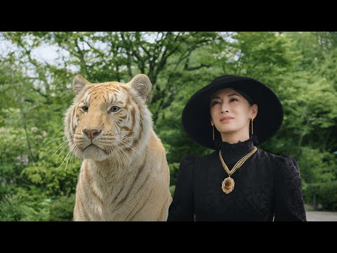 画像: 企業CM 「トラと森トラ 貴婦人と万平ホテル」 30秒 youtu.be