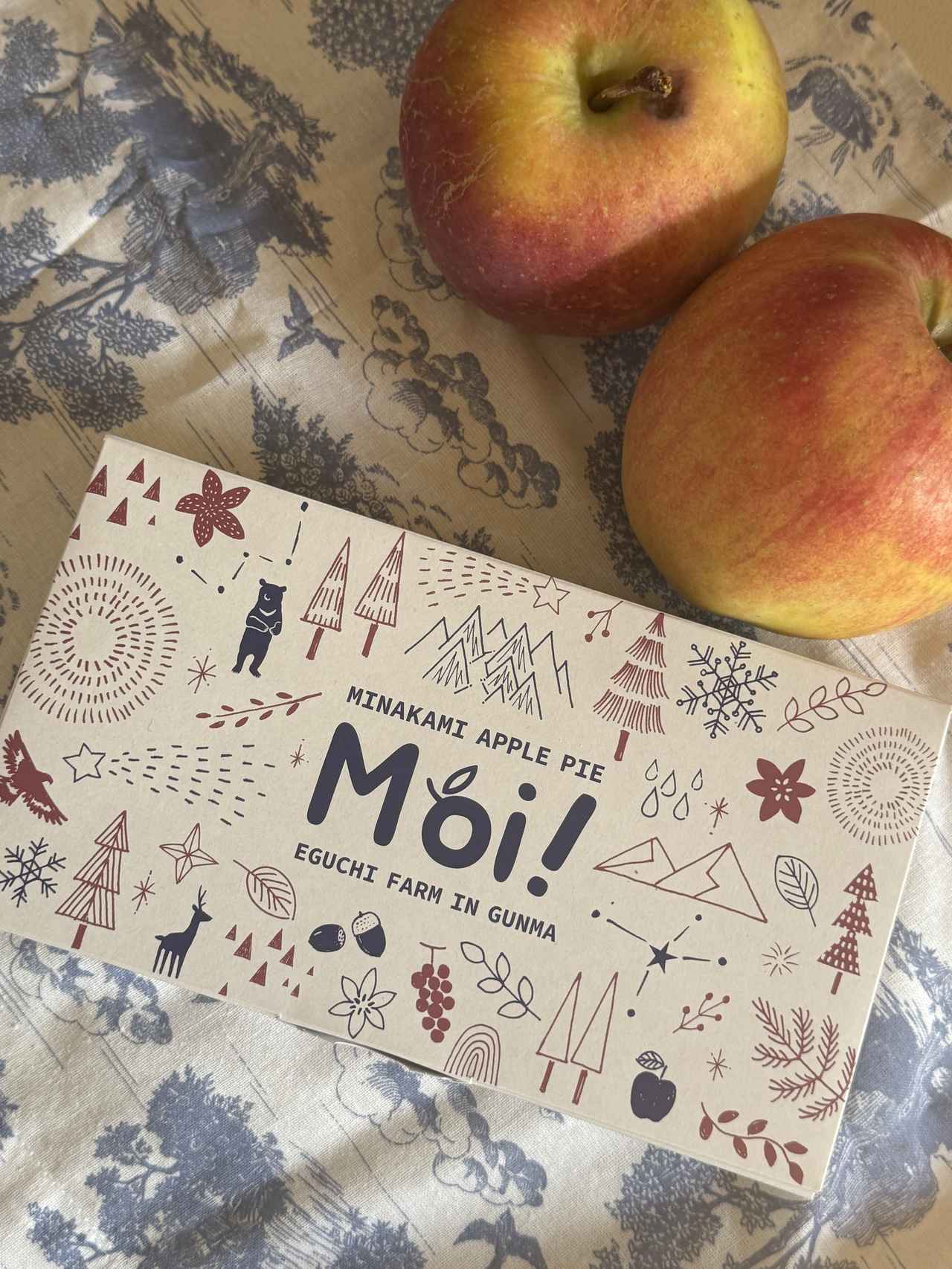 画像1: 規格外リンゴを“おいしい未来”へ♡群馬・みなかみ町にアップルパイ専門店「MINAKAMI APPLEPIE Moi！」誕生