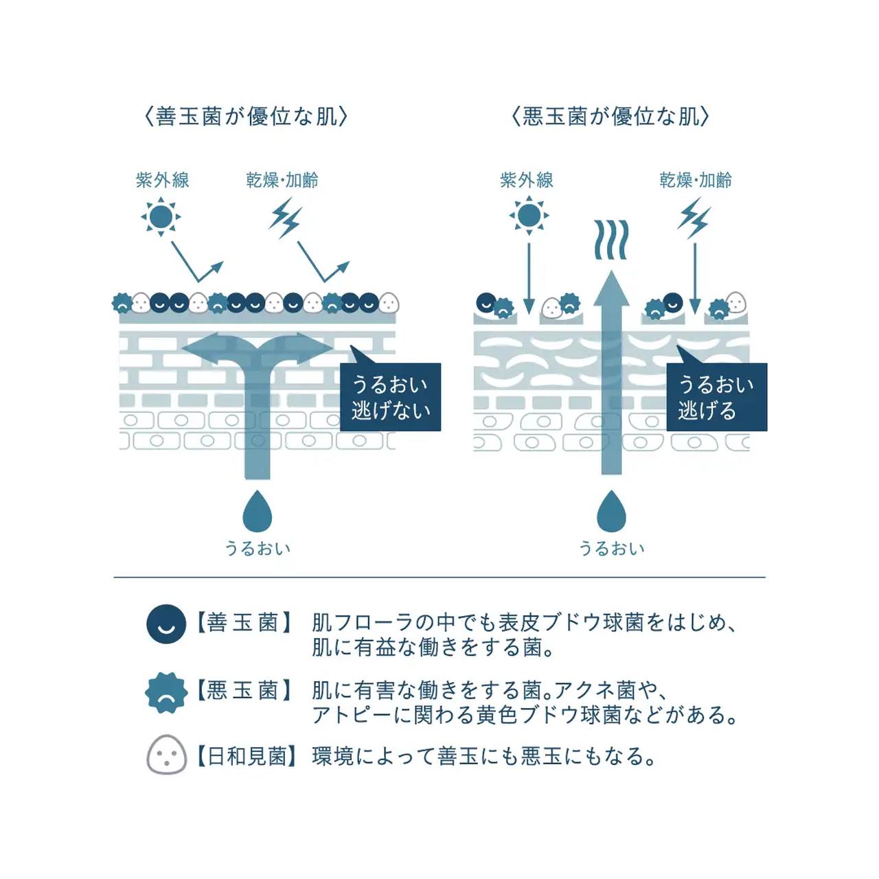 画像: 肌の“菌そう”を整え、美肌スパイラルへ