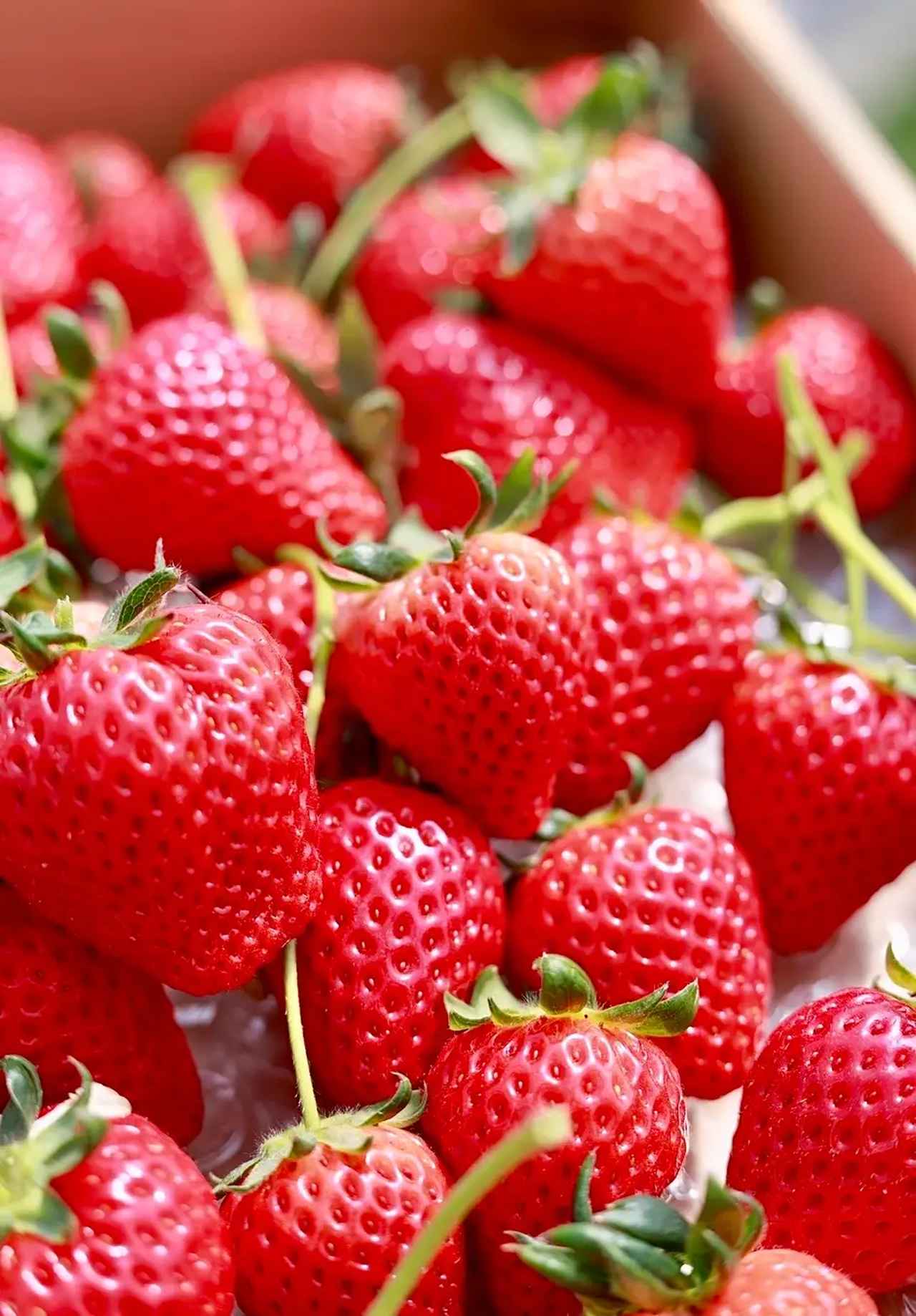 画像: www.town.saitama-misato.lg.jp