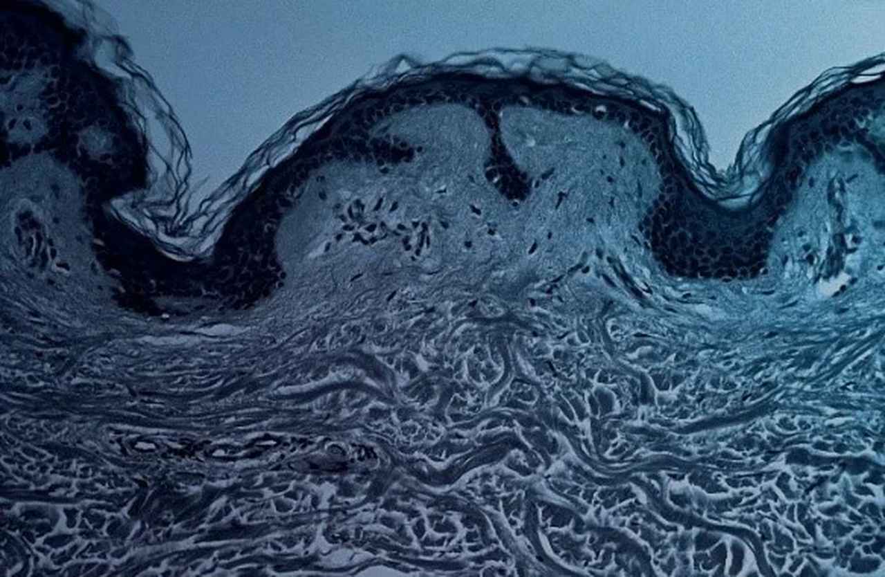 画像: “再生医療スキンケア”誕生♡最高濃度iPS細胞培養上清液配合「TEUDU テウズ・アイピーセル・リッチ エマルジョン」12月2日発売