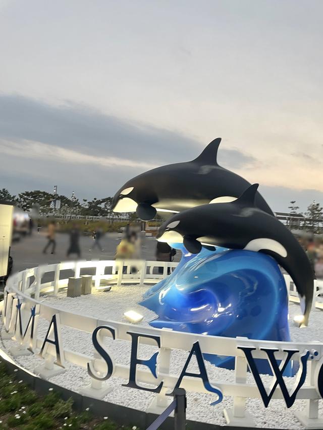 画像1: 西日本唯一。母娘シャチによるオルカパフォーマンス