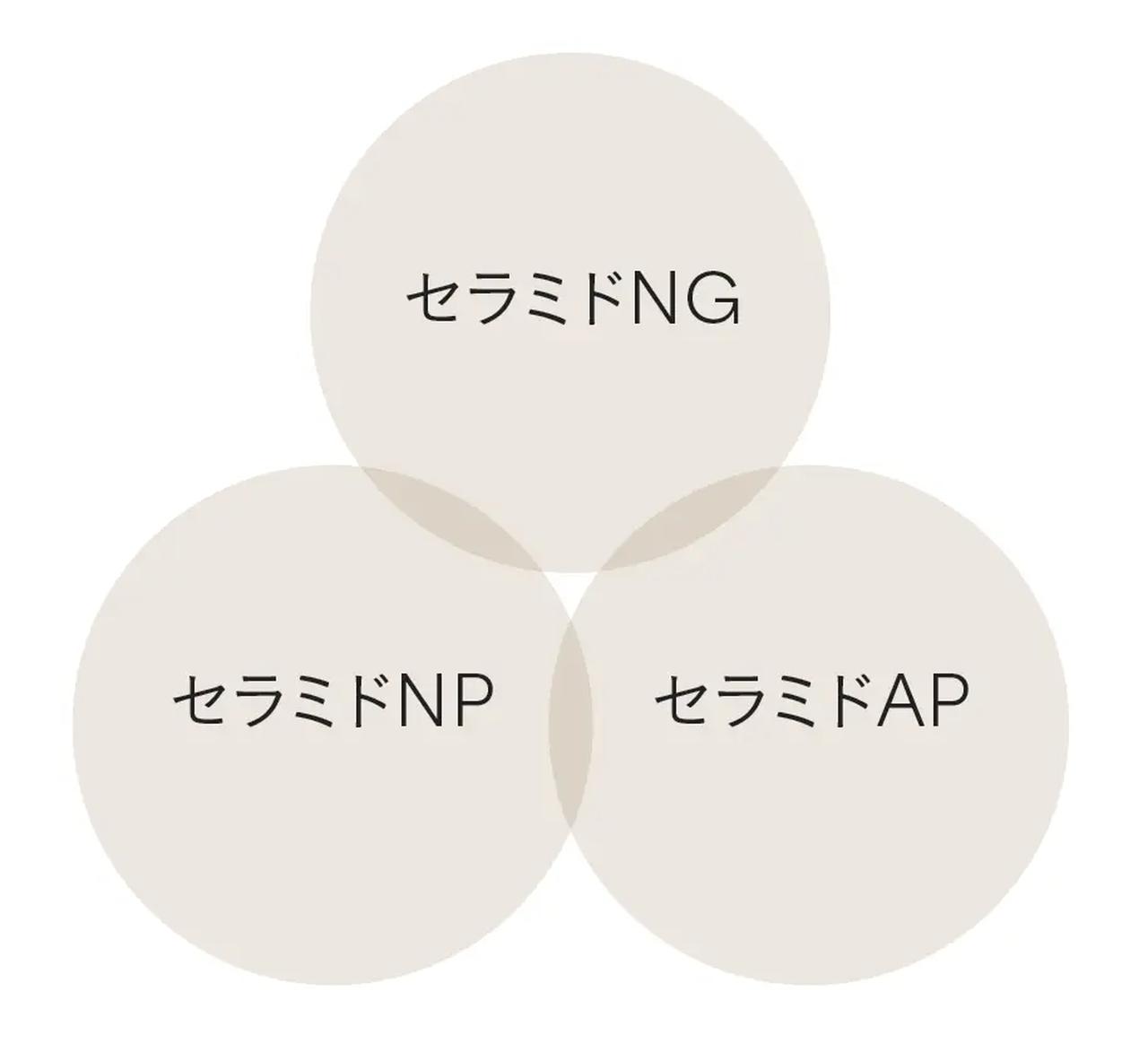 画像: 角層のバリア機能をサポートするため、セラミド3種（※1） （セラミドNG、セラミドNP、セラミドAP）をリポソーム化したセラミドコンプレックス成分を配合。