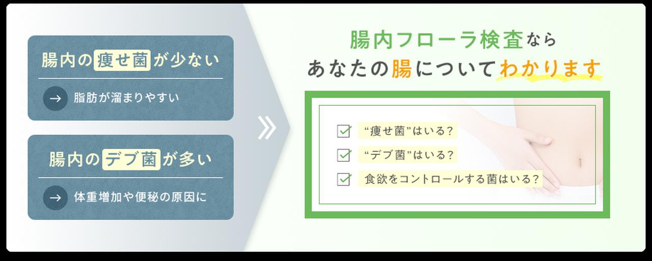 画像1: カテゴリー別に見える“自分の腸の個性”