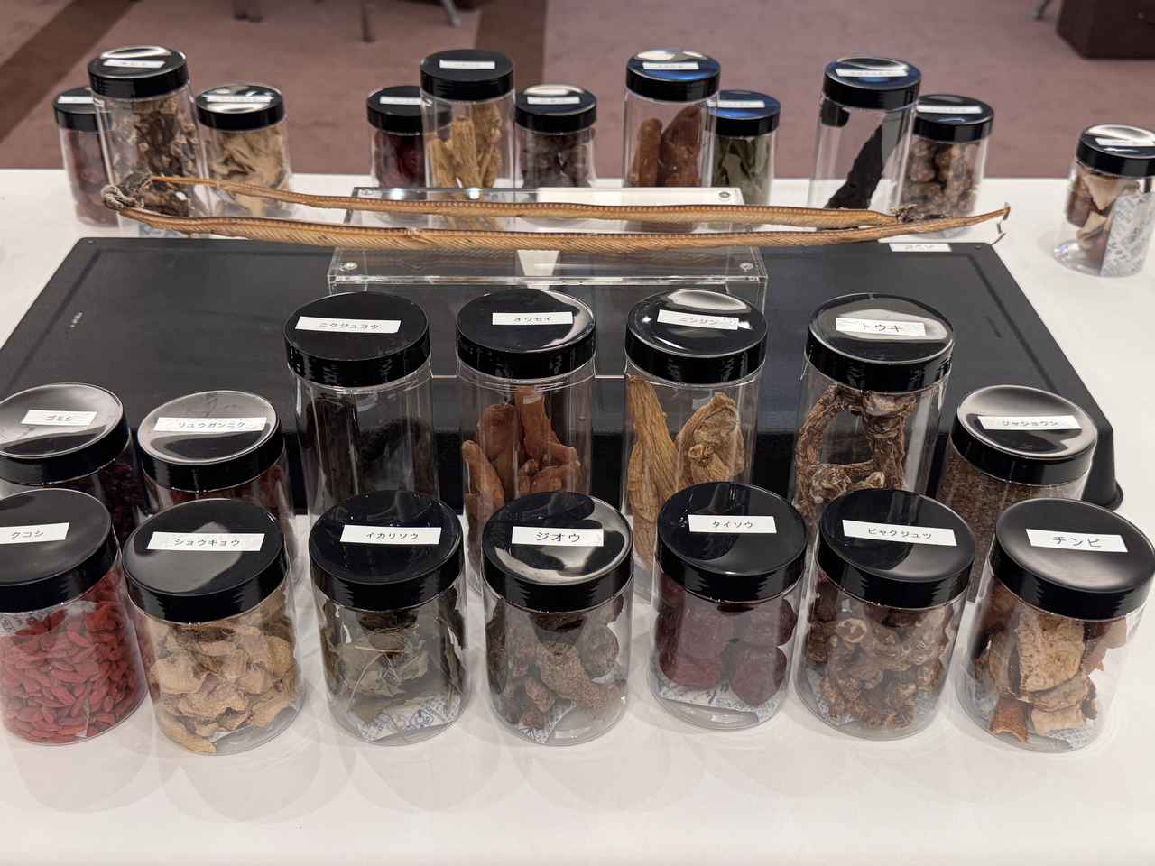 画像: 第一部:佐藤製薬の研究の源泉に触れる時間