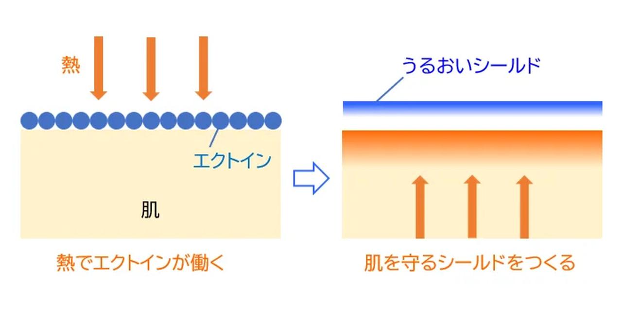 画像: 「エクトイン/保湿成分」配合でスキンケアできる日焼け止め。