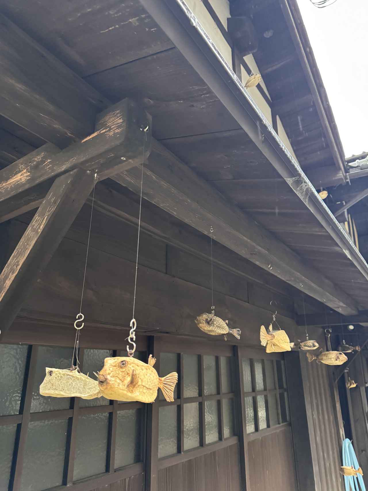 画像47: “冬の味覚の王様”を求めて京都・丹後へ♡活カニを選ぶ高揚感と、温泉ヴィラで過ごす贅沢な時間