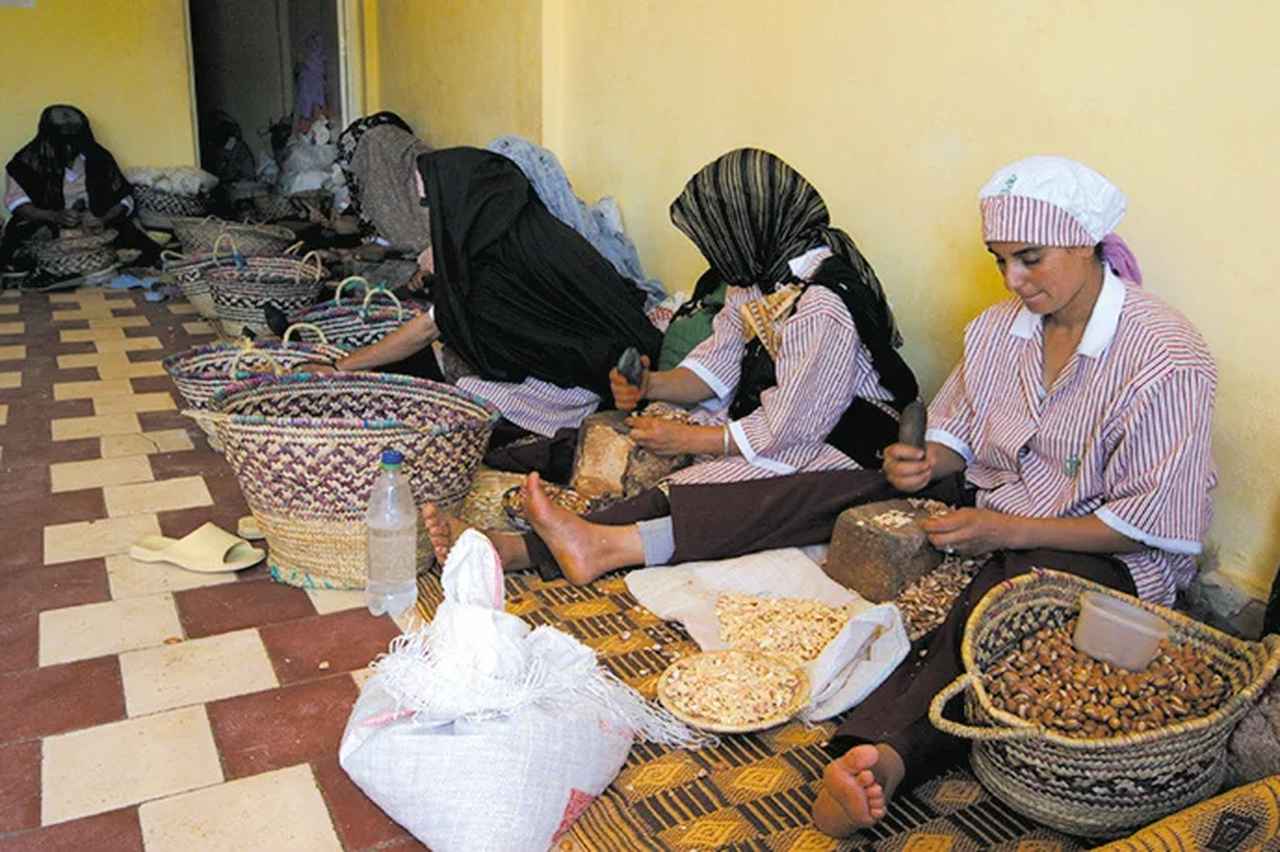 画像: モロッコの大地と女性の自立を支える、アルガンオイルを使用