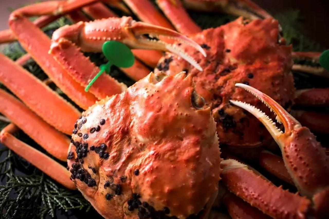 画像1: 生け簀から選ぶ「カニマルシェプラン」