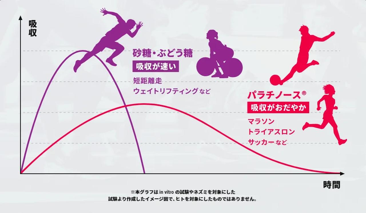 画像2: ランナーを支える“持続エネルギー”パラチノース®