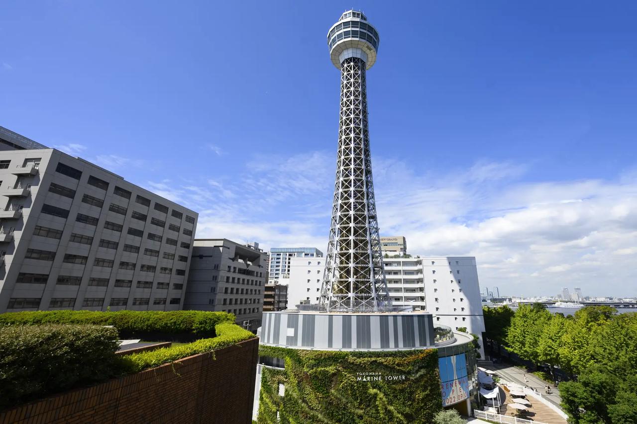 画像: 一般：3,900円 大学生・高校生・専門学生：2,900円 小・中学生：1,650円 障がい者一般：3,000円 障がい者大学生・高校生・専門学生：2,500円 障がい者小・中学生：1,500円 （記載はすべて税込） 写真提供：横浜マリンタワー