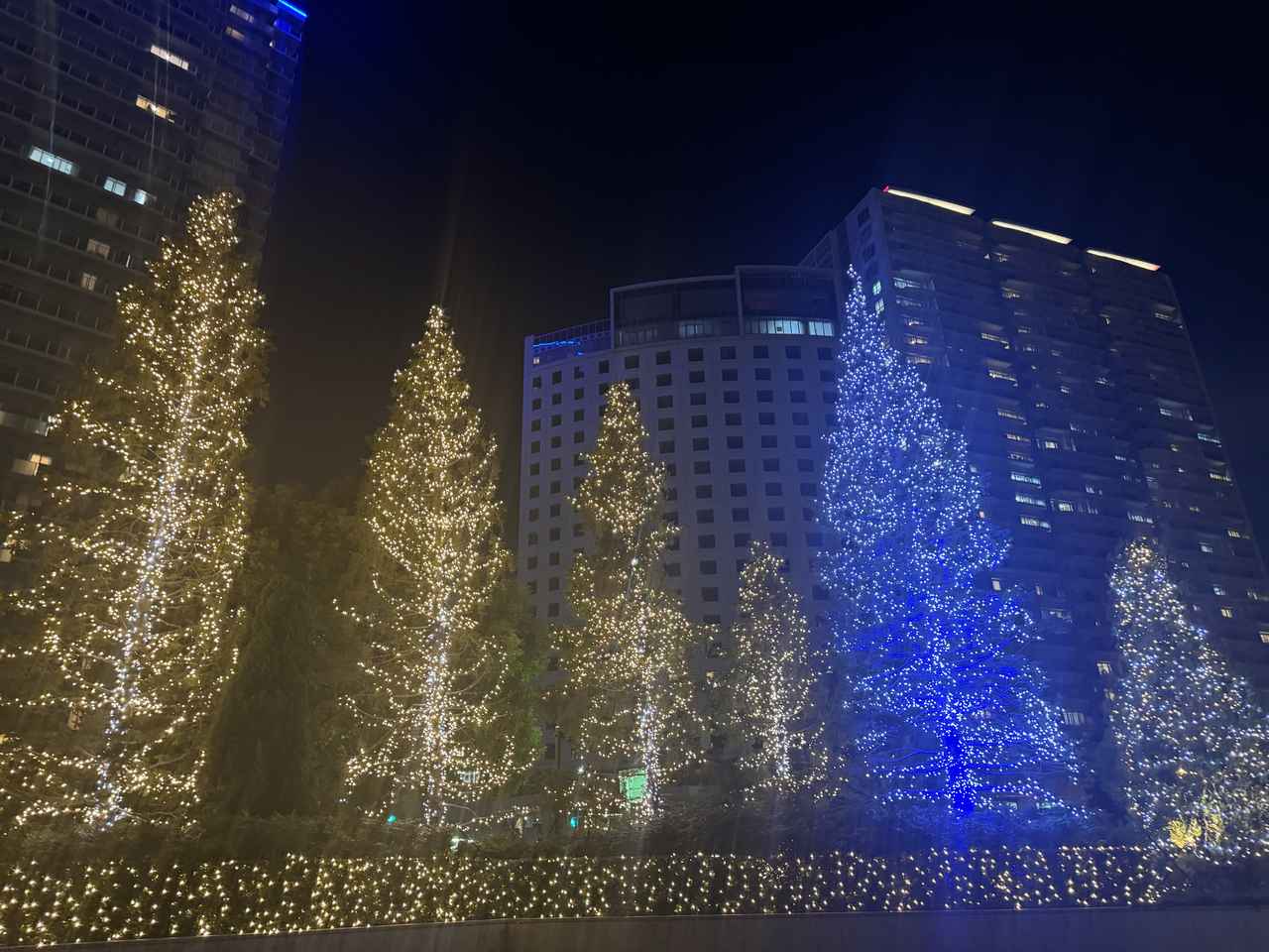 画像: 5周年を迎えたホテルで、特別な季節のティータイムを