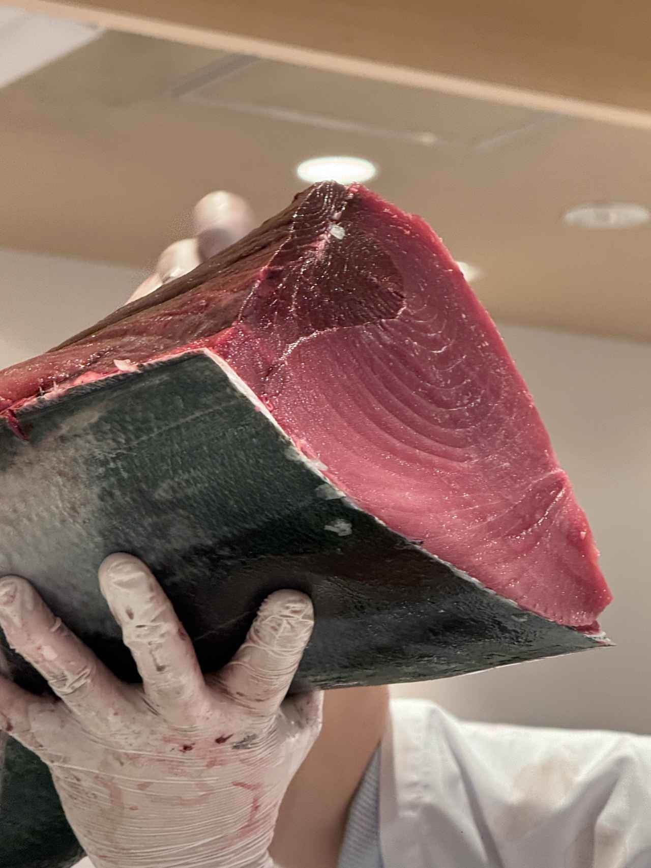 画像7: 「回転寿司みさき」が“まぐろ”で魅せる♡希少部位まで味わえる『絶品本まぐろ尽くし』が1月13日スタート