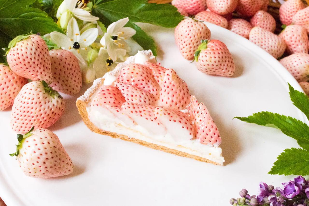 画像: 特選 白イチゴ “初恋の香り”のタルト 販売期間:2025年12月26日(金)~2月15日(日) piece ¥1,998