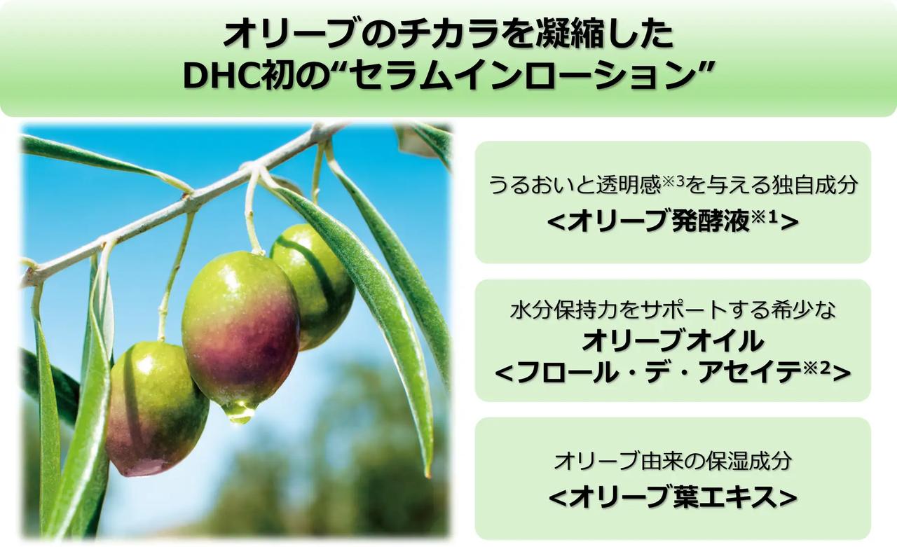 画像: オリーブのチカラをとことん追求した1本