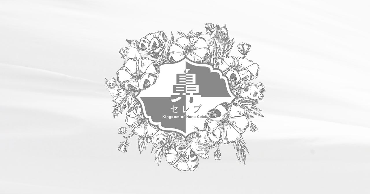 画像: 鼻セレブ｜ネピア