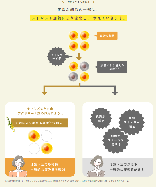 画像: 加齢により増える細胞にアプローチ♡10年かけて開発した新年齢対策サプリメント「ウェルエイジ プレミアム」