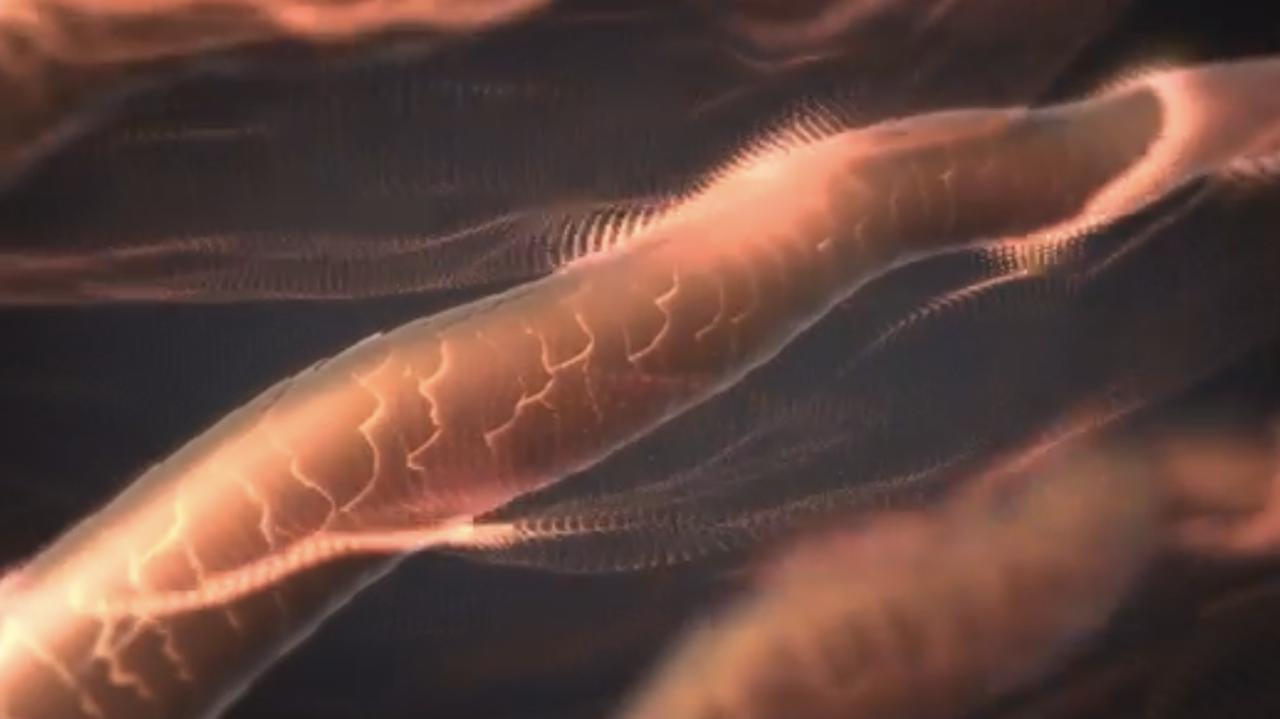 画像: 遠赤外線で、髪の芯までムラなく温める