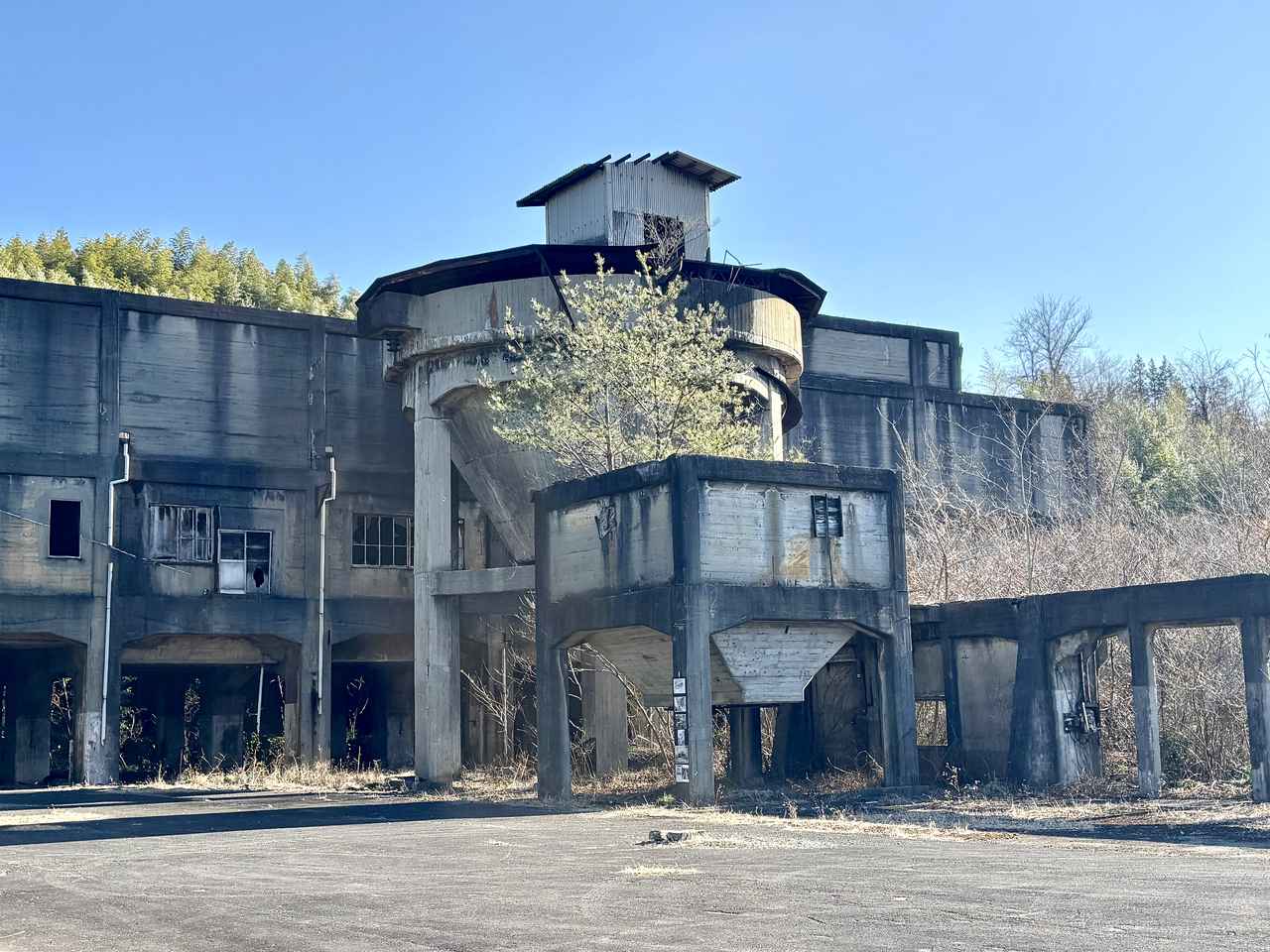 画像2: ハワイアンズの始まりへ。レトロバスで巡る特別体験